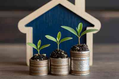 Holzhäuschen mit Münztürmen und Pflanzensprösslingen davor - © jendralbiribiri - stock.adobe.com